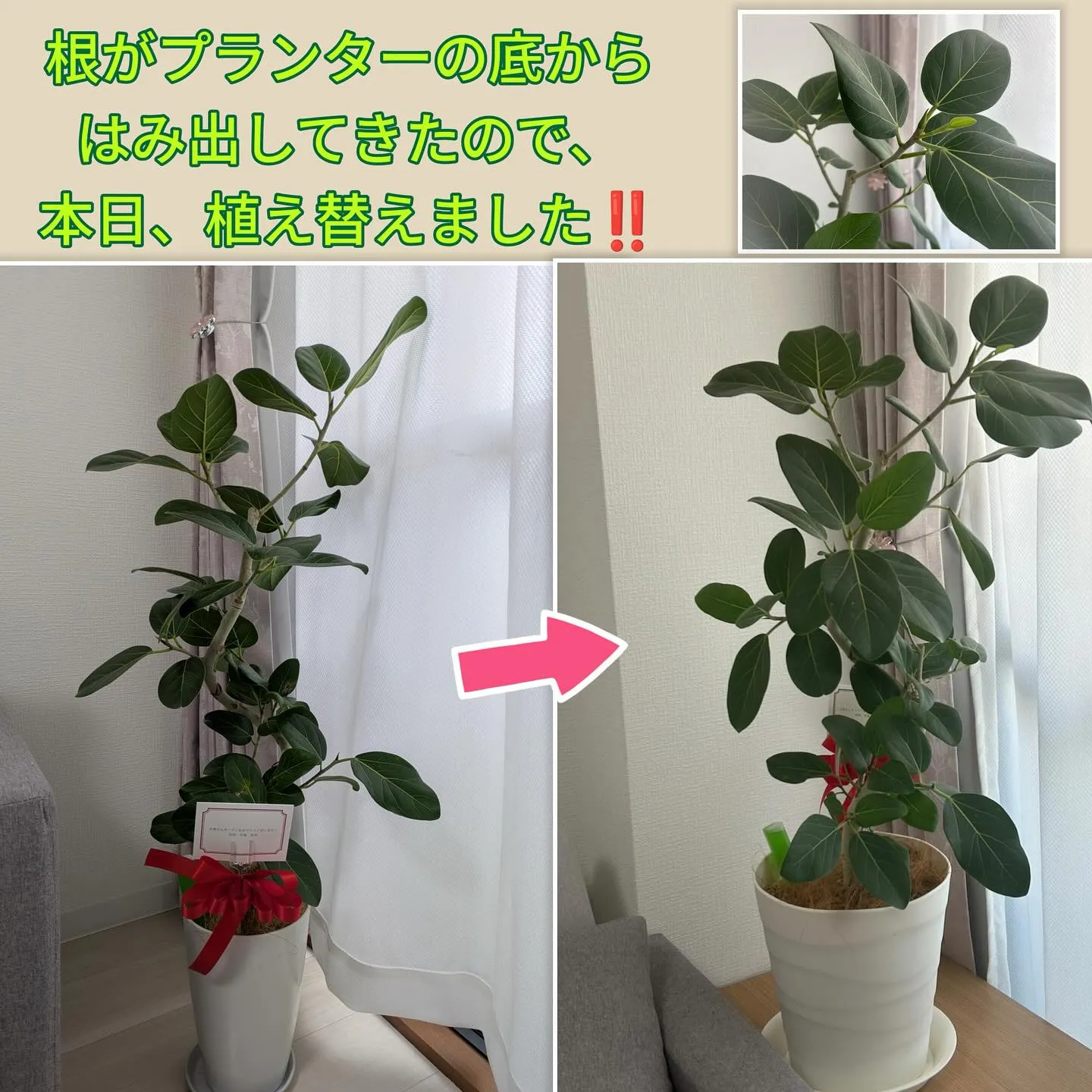 【サロンの成長とともに🌱】
