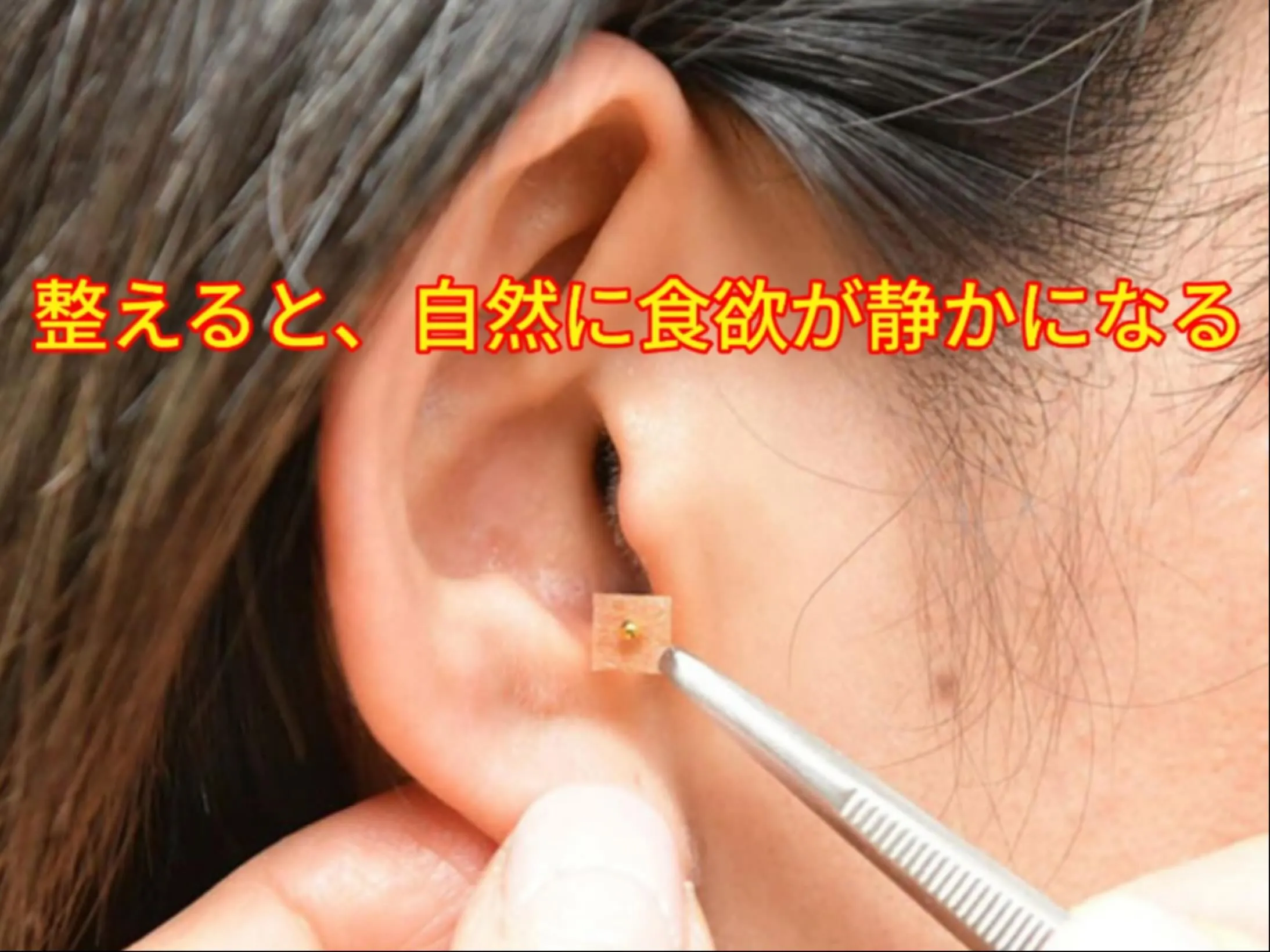 今月スタートされたお客様💚