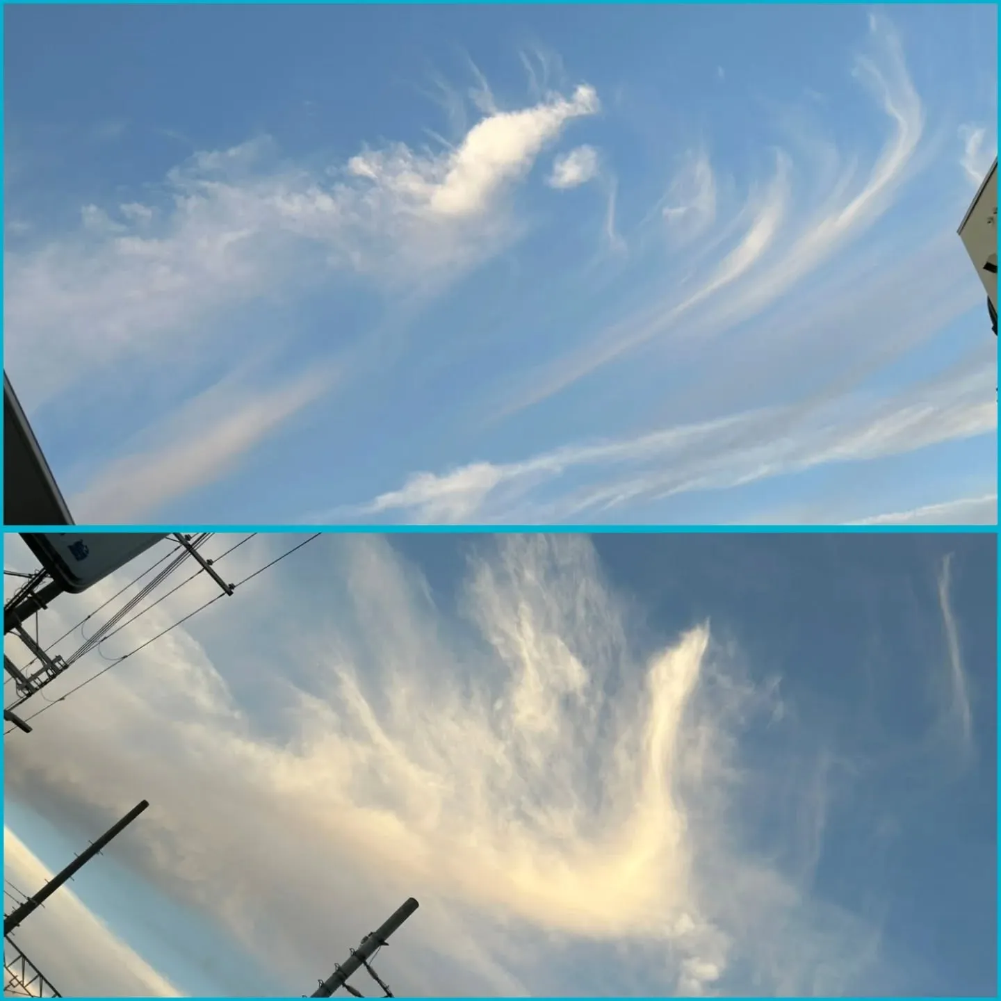 サロンの窓を開けたら、