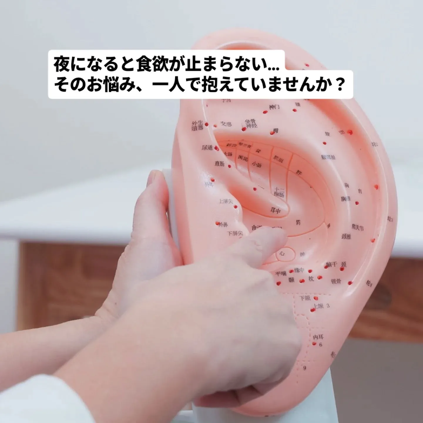 🌙夜になると食欲が止まらない…