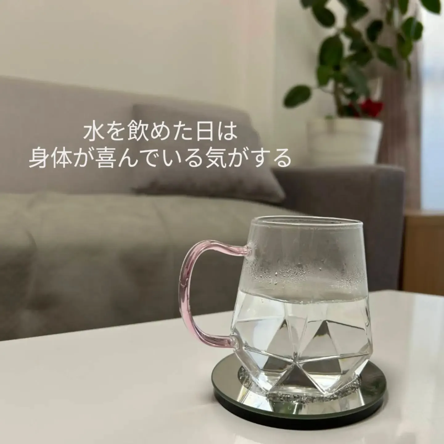 今日も一杯のお白湯から。