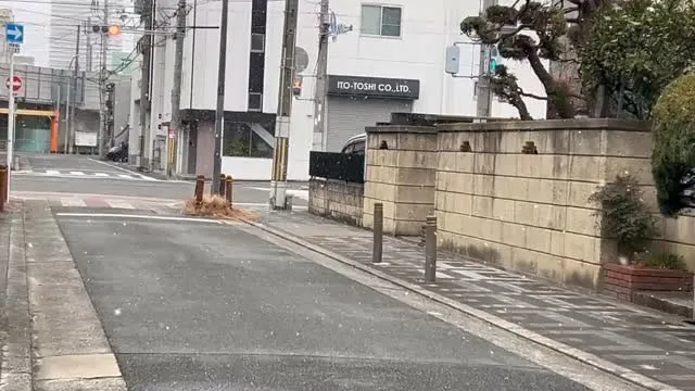 雪が降ってきました❄️